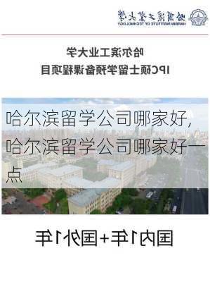 哈尔滨留学公司哪家好,哈尔滨留学公司哪家好一点