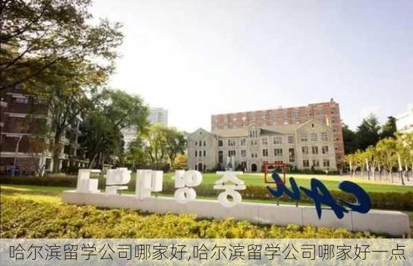 哈尔滨留学公司哪家好,哈尔滨留学公司哪家好一点