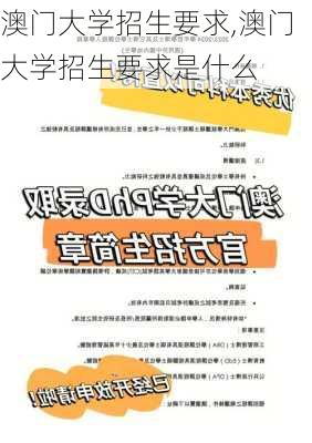 澳门大学招生要求,澳门大学招生要求是什么