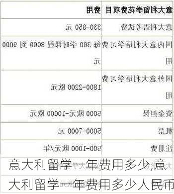 意大利留学一年费用多少,意大利留学一年费用多少人民币