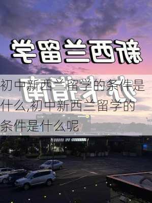 初中新西兰留学的条件是什么,初中新西兰留学的条件是什么呢