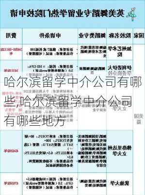 哈尔滨留学中介公司有哪些,哈尔滨留学中介公司有哪些地方