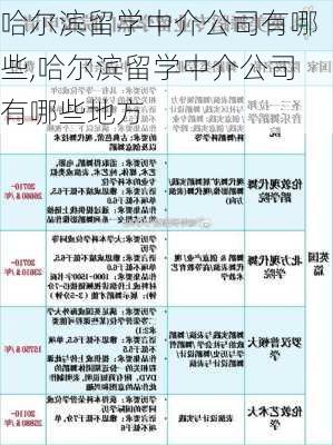 哈尔滨留学中介公司有哪些,哈尔滨留学中介公司有哪些地方