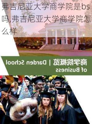 弗吉尼亚大学商学院是bs吗,弗吉尼亚大学商学院怎么样