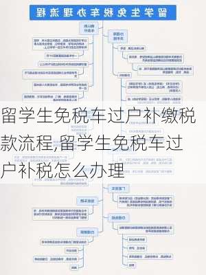 留学生免税车过户补缴税款流程,留学生免税车过户补税怎么办理