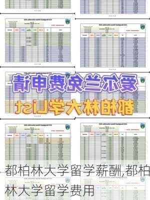 都柏林大学留学薪酬,都柏林大学留学费用