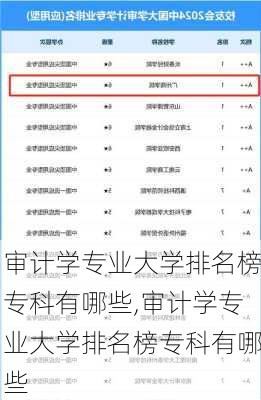 审计学专业大学排名榜专科有哪些,审计学专业大学排名榜专科有哪些