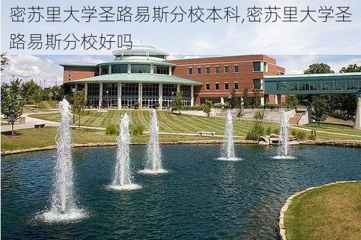 密苏里大学圣路易斯分校本科,密苏里大学圣路易斯分校好吗