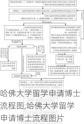 哈佛大学留学申请博士流程图,哈佛大学留学申请博士流程图片