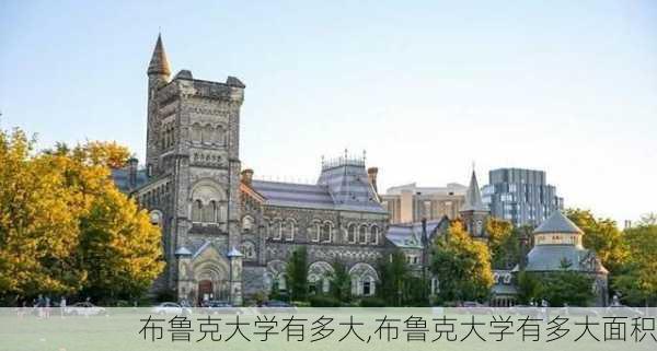 布鲁克大学有多大,布鲁克大学有多大面积