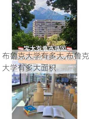 布鲁克大学有多大,布鲁克大学有多大面积