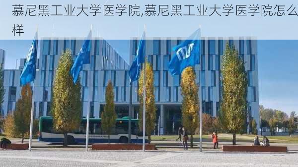 慕尼黑工业大学医学院,慕尼黑工业大学医学院怎么样