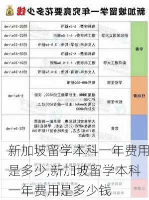 新加坡留学本科一年费用是多少,新加坡留学本科一年费用是多少钱