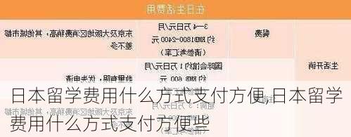 日本留学费用什么方式支付方便,日本留学费用什么方式支付方便些