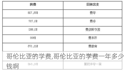 哥伦比亚的学费,哥伦比亚的学费一年多少钱啊