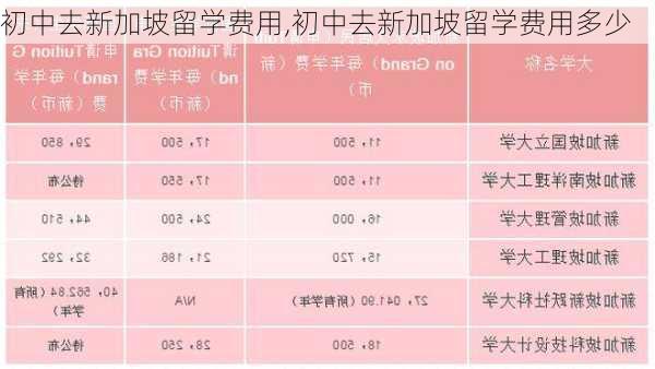 初中去新加坡留学费用,初中去新加坡留学费用多少