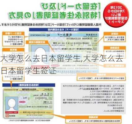 大学怎么去日本留学生,大学怎么去日本留学生签证