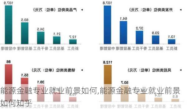 能源金融专业就业前景如何,能源金融专业就业前景如何知乎