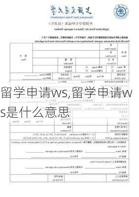 留学申请ws,留学申请ws是什么意思