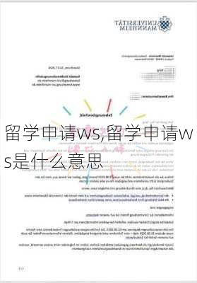 留学申请ws,留学申请ws是什么意思