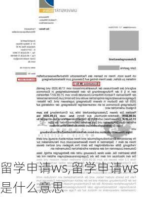 留学申请ws,留学申请ws是什么意思