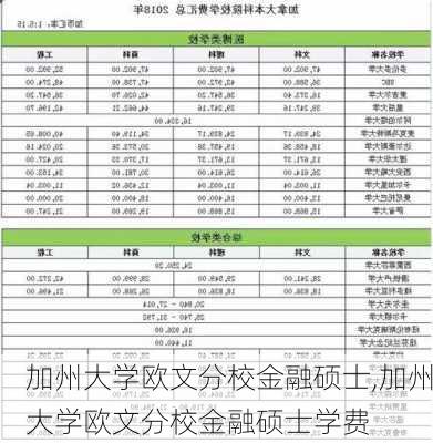 加州大学欧文分校金融硕士,加州大学欧文分校金融硕士学费