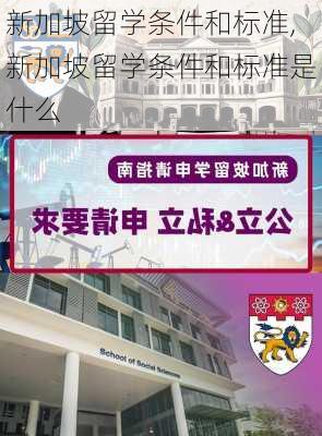 新加坡留学条件和标准,新加坡留学条件和标准是什么