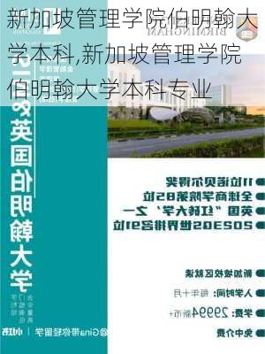 新加坡管理学院伯明翰大学本科,新加坡管理学院伯明翰大学本科专业