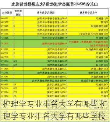 护理学专业排名大学有哪些,护理学专业排名大学有哪些学校