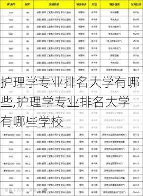 护理学专业排名大学有哪些,护理学专业排名大学有哪些学校