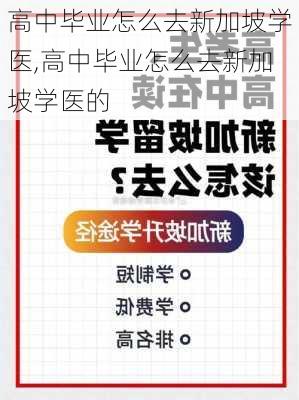 高中毕业怎么去新加坡学医,高中毕业怎么去新加坡学医的