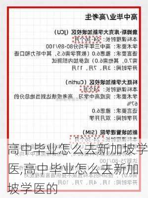 高中毕业怎么去新加坡学医,高中毕业怎么去新加坡学医的