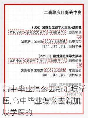 高中毕业怎么去新加坡学医,高中毕业怎么去新加坡学医的