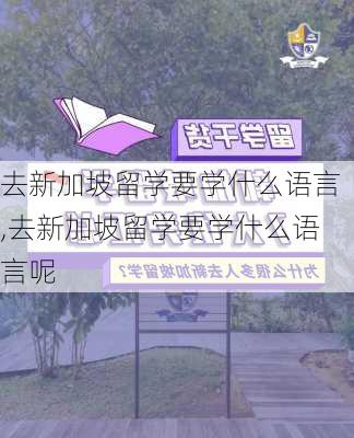 去新加坡留学要学什么语言,去新加坡留学要学什么语言呢