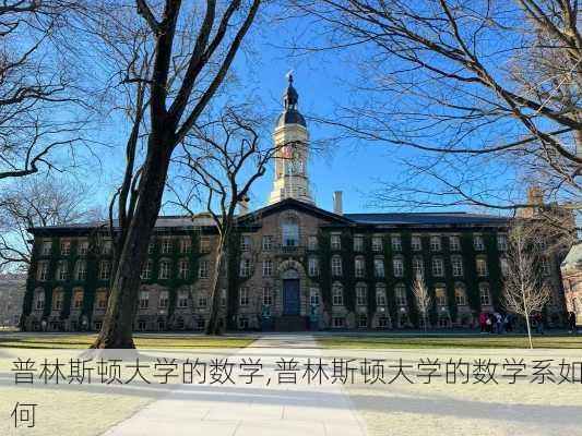 普林斯顿大学的数学,普林斯顿大学的数学系如何