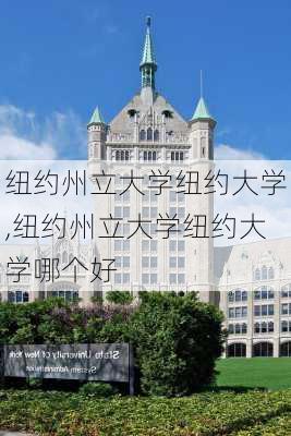 纽约州立大学纽约大学,纽约州立大学纽约大学哪个好