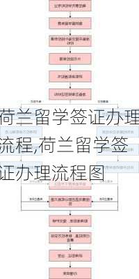 荷兰留学签证办理流程,荷兰留学签证办理流程图