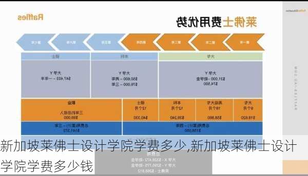 新加坡莱佛士设计学院学费多少,新加坡莱佛士设计学院学费多少钱