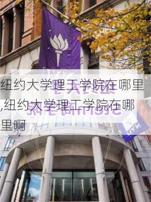 纽约大学理工学院在哪里,纽约大学理工学院在哪里啊