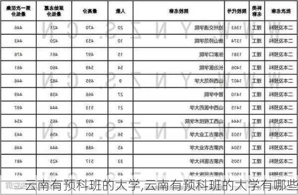 云南有预科班的大学,云南有预科班的大学有哪些