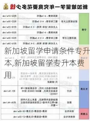 新加坡留学申请条件专升本,新加坡留学专升本费用