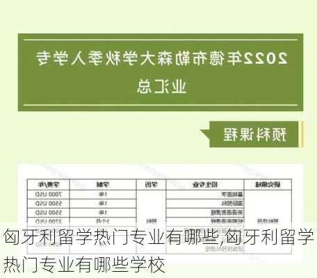 匈牙利留学热门专业有哪些,匈牙利留学热门专业有哪些学校