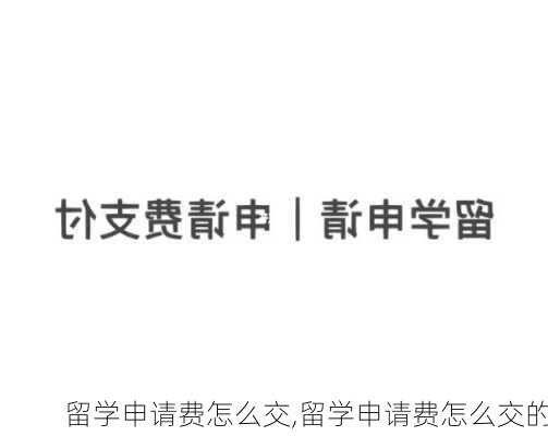 留学申请费怎么交,留学申请费怎么交的