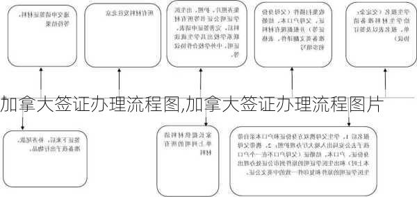 加拿大签证办理流程图,加拿大签证办理流程图片