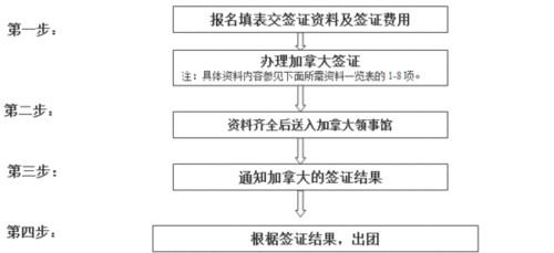 加拿大签证办理流程图,加拿大签证办理流程图片