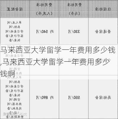 马来西亚大学留学一年费用多少钱,马来西亚大学留学一年费用多少钱啊