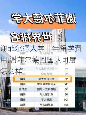 谢菲尔德大学一年留学费用,谢菲尔德回国认可度怎么样