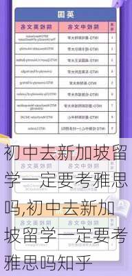 初中去新加坡留学一定要考雅思吗,初中去新加坡留学一定要考雅思吗知乎