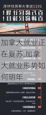 加拿大就业正在复苏,加拿大就业形势如何明年