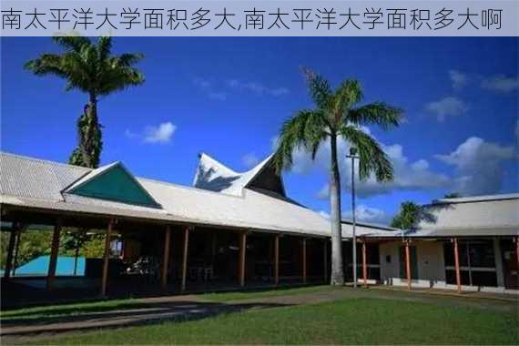 南太平洋大学面积多大,南太平洋大学面积多大啊